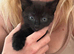 4 gorgeous kittens for sale.