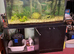 Aqairium with cupboards and fish