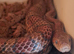 Corn snake with complete viv set up