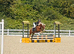 Pony club super star