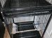 2 tall bird cages