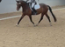 Allrounder/intermediate/teenagers