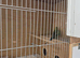 Breeding cages x 4