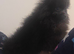 2 beautiful poms