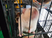 2 friendly rats