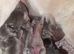 Exotic Male Puppy available
