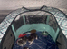 Persian cross Russian blue kittens 3 girls