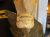 2026 beautiful barn owl