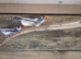 Various birds for sale