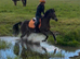 Much Loved Family Pony