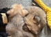 3 beautiful boys left &pound;500