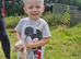 Baby polecat ferrets