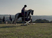 12&rsquo;2 coloured cob gelding