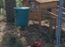 bantam hatching eggs