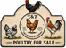 Trio of Breeding Bantams