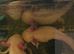 Axolotl eggs