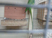 2 year old ringneck