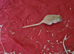 OFFERED 4 X FEMALE GERBILS WITH CAGE