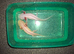 Pink and gold axolotls