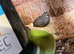 Family of button quail