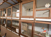 Large flight cages.
