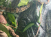 Baby Royal python with full set up