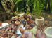 aquatic ramshorn snails x100, mixed sizes, free next day delivery