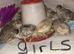 SEXED QUAILS,CHINESE PAINTED BUTTONS!