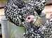 Silver seabright.....breeding pair