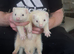 Beautiful ferret kits black eyed white