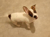 Dashound X jack Russell