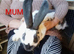 Giant pappilon rabbits
