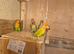 Love Bird with baby