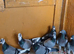 Racing pigeons