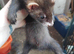 Small kits  bigger micro