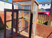 Catio