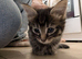 1 beautiful boy left! ready now!