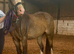 Lilly Cob x Clysdale