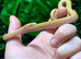 Albino African House Snake at Birmingham Reptiles