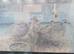 Bobwhite Snowflake hens
