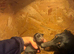 KC Lines | Miniature Dachshund Puppies