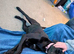 Cane corso female