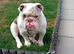 Rehome