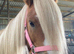 12h approx gelding