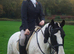 Grab a once-in-a-lifetime ready to mauld horse! 15.1hh cob cross