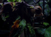 &pound;250 Exo terra 60x45x90 large/tall bioactive set up