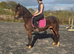 14.2H - 4Yo - Reg Sec D - Bay - Mare
