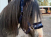 Field / paddock / stable wanted