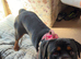 14 month old Large Male Rottweiler
