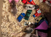 Male rats 6-7 weeks old